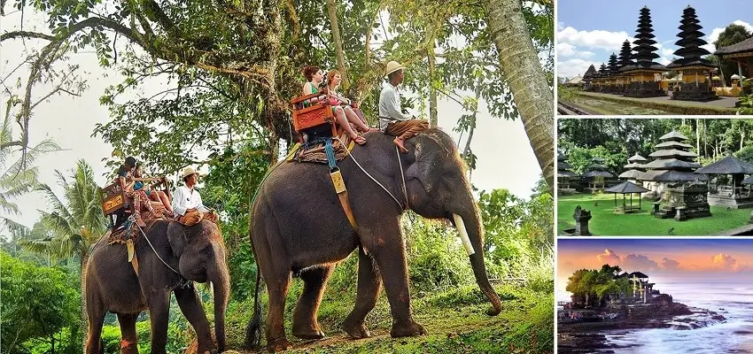 Bali Elephant Ride and Tanah Lot Tour, Bali Combination Tour Packages, Bali Nafis Tour