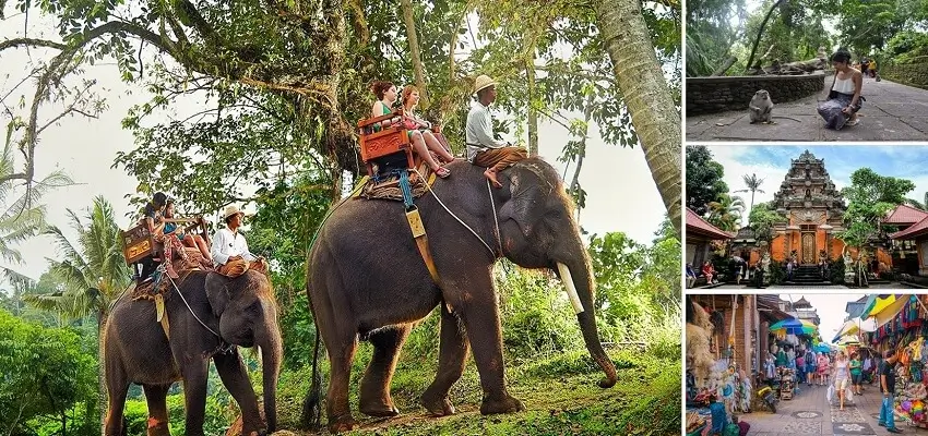 Bali Elephant Ride and Ubud Tour, Bali Combination Tour Packages, Bali Nafis Tour