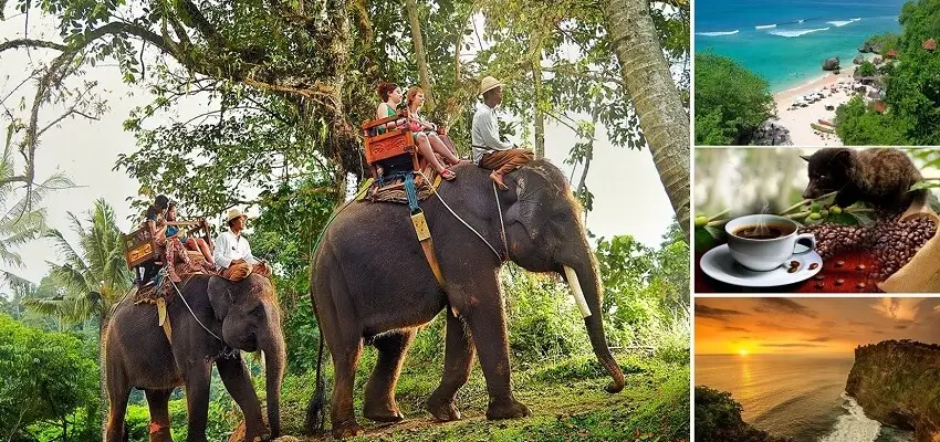 Bali Elephant Ride and Uluwatu Tour, Bali Combination Tour Packages, Bali Nafis Tour