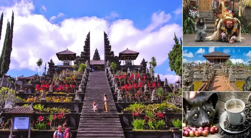 bali full day tour packages