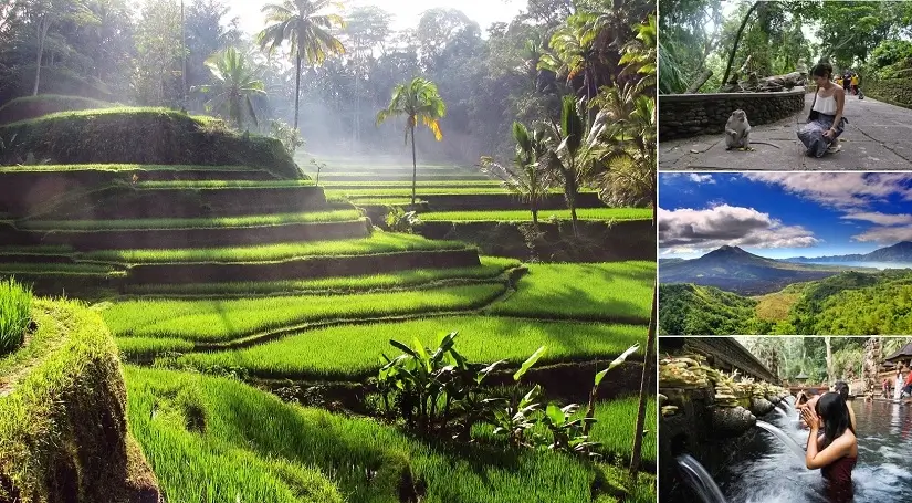 Ubud And Kintamani Tour