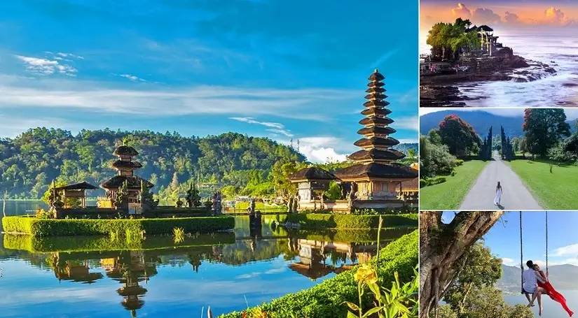 Wanagiri Hidden Hills Bali Tour