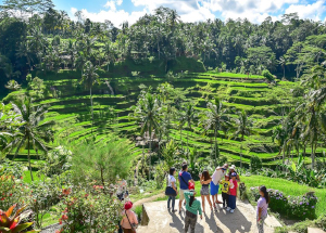 nafis bali half-day tour packages