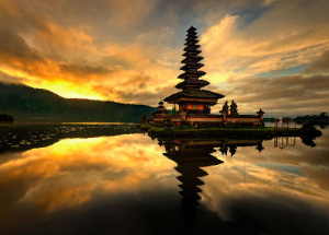 nafis bali west tour packages